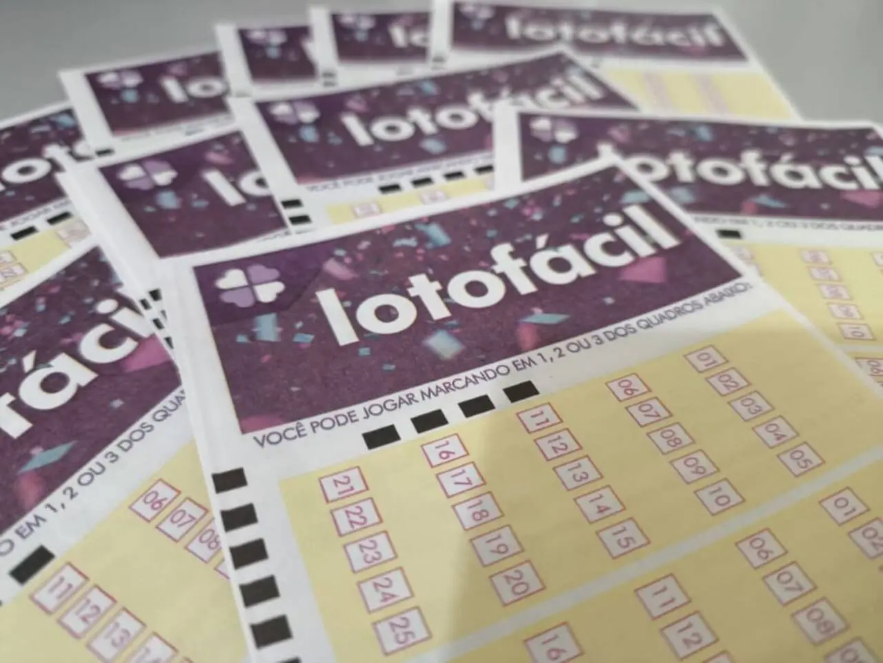 Lotofácil