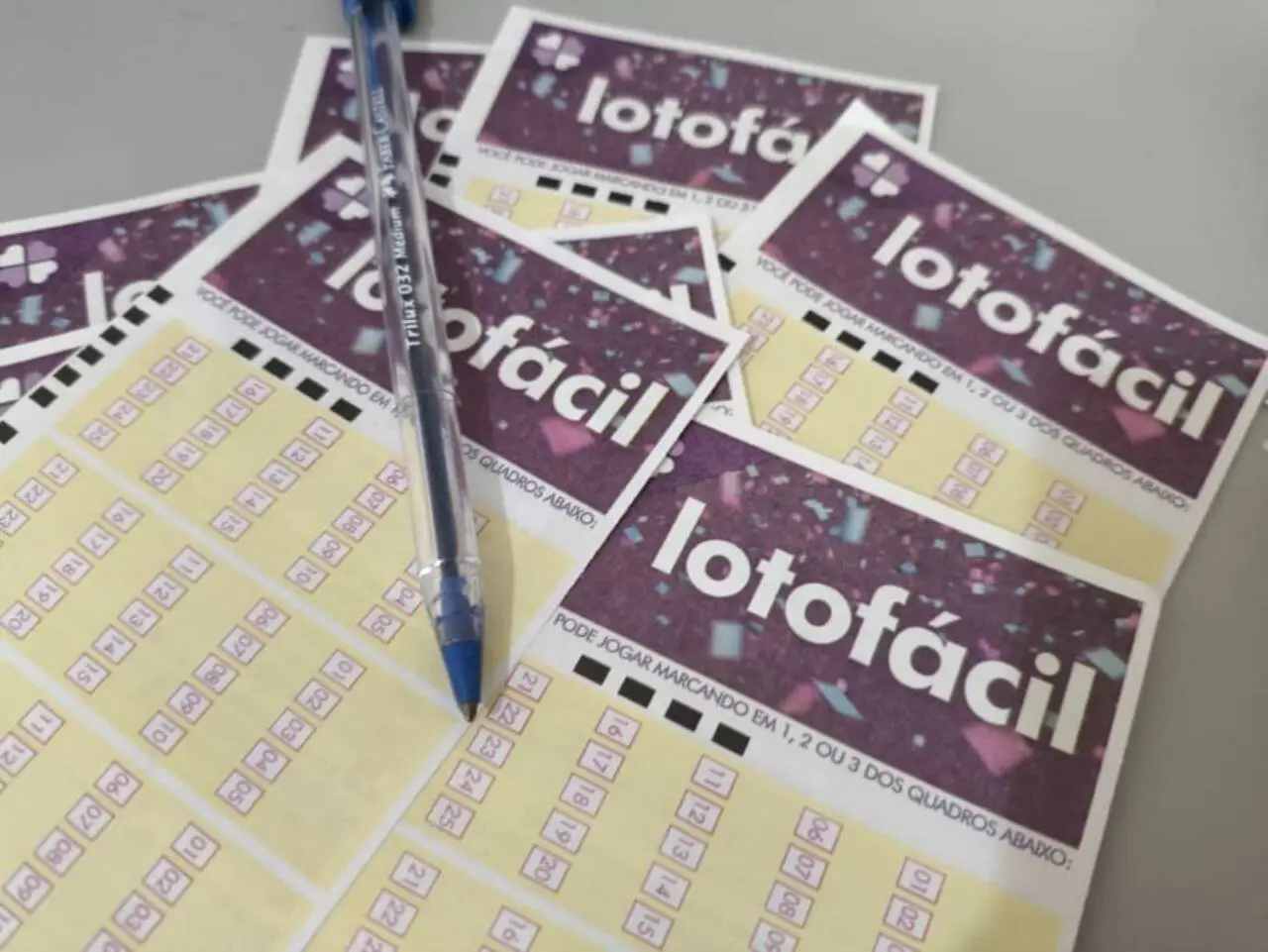 Lotofácil