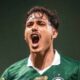 Mauricio Palmeiras
