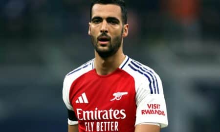 Merino
