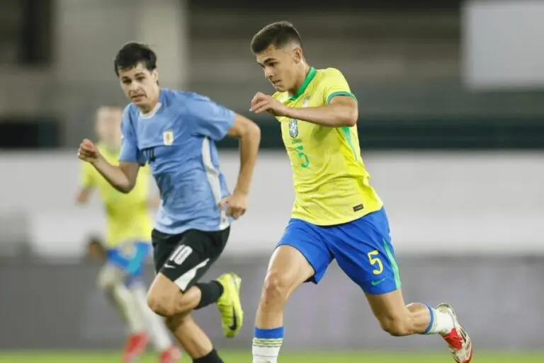 Moscardo Brasil