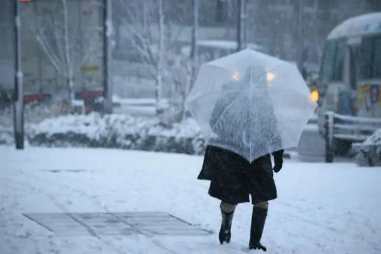 Neve, Nevasca