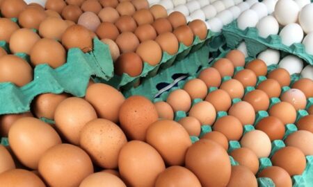 Ovos -