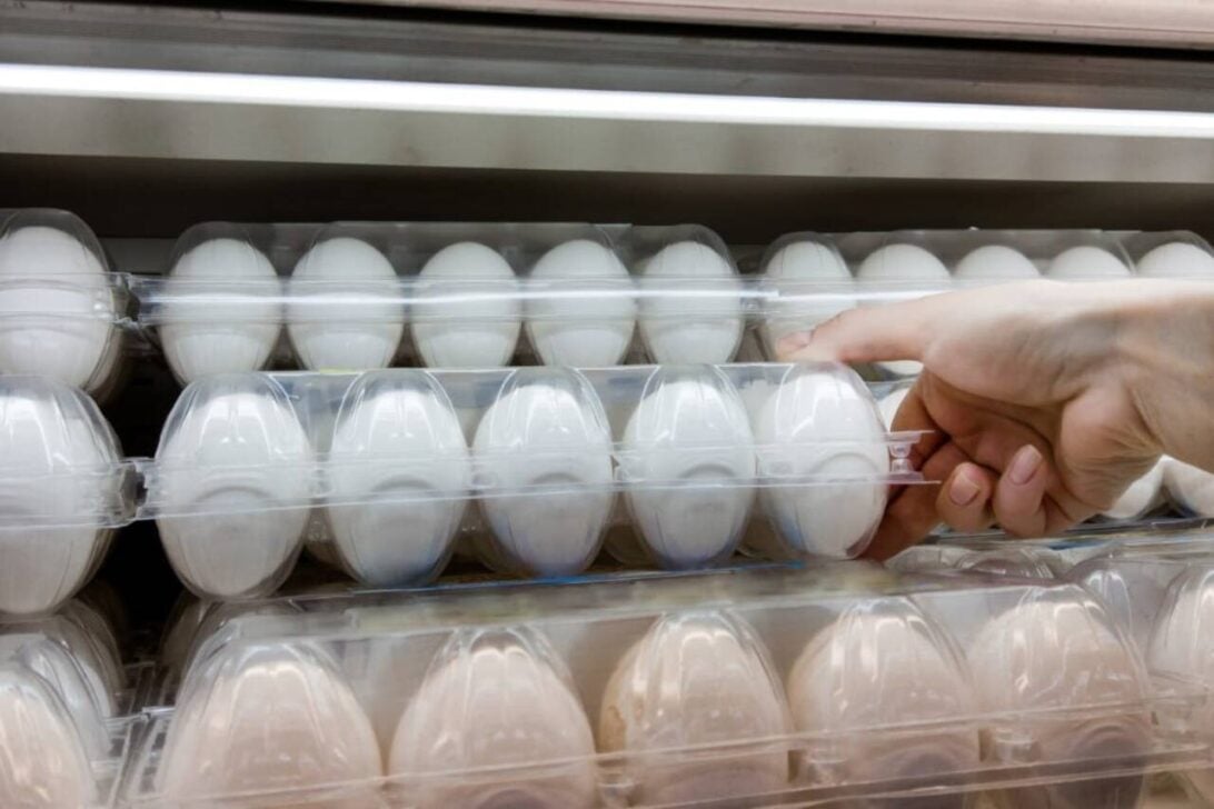 Ovos egg