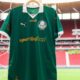 Palmeiras