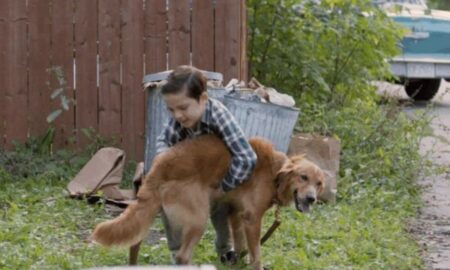 Quatro Vidas de um Cachorro.