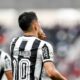 Savarino Botafogo