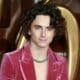Timothee Chalamet
