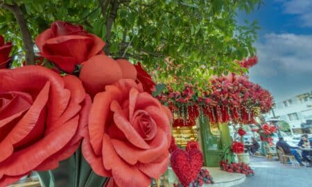Valentine’s Day