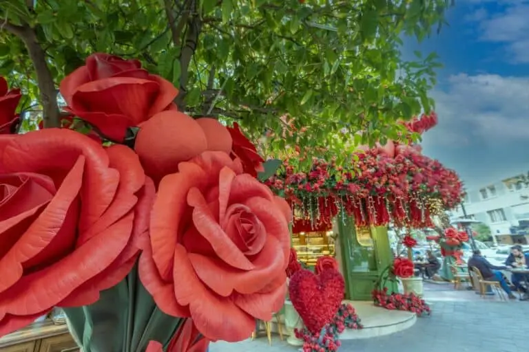 Valentine’s Day