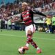 Wesley Flamengo