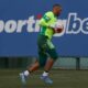 Weverton do Palmeiras