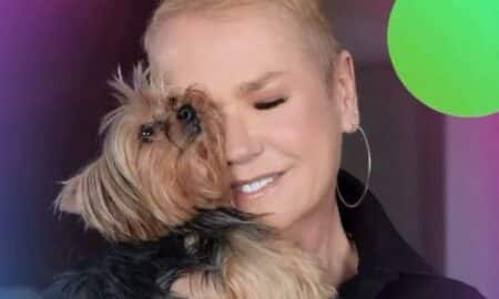 Xuxa Meneguel