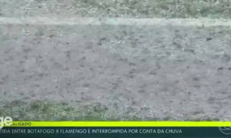 estado do campo - Foto: TV Globo