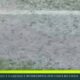 estado do campo - Foto: TV Globo