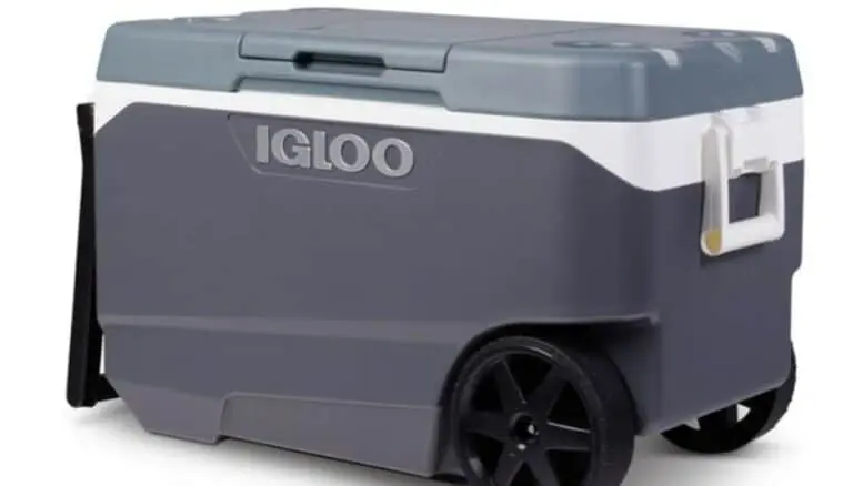 igloo