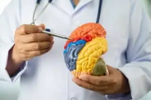 Estrogen hormone therapy in older women may reduce signs of Alzheimer’s