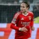 Andreas Schjelderup
