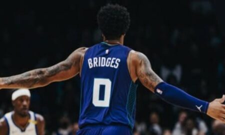 Bridges - Hornets