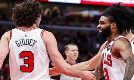 Bulls