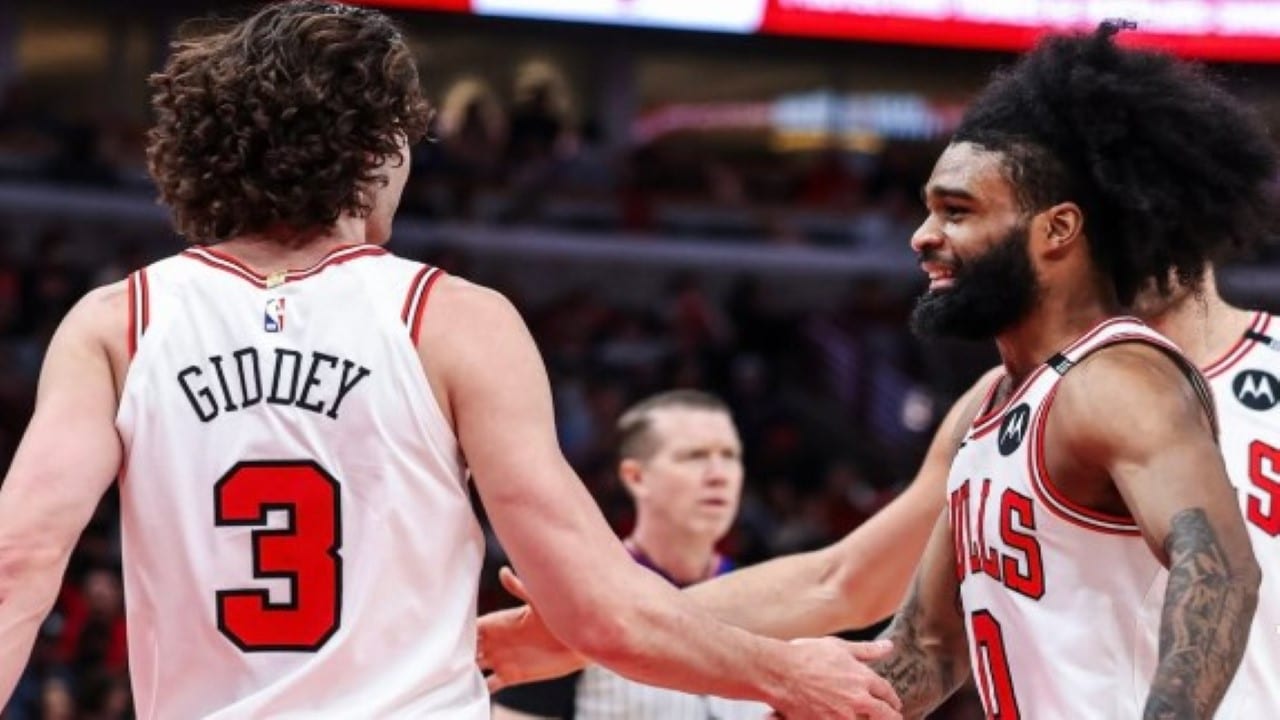 Bulls