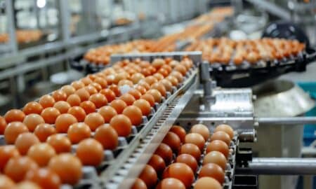 Ovos Egg - Foto: Nicole Piepgras/shutterstock.com