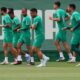 Elenco do Palmeiras