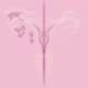 Endometriose