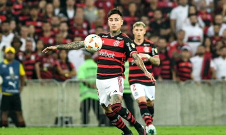 Erick Pulgar jogador do Flamengo