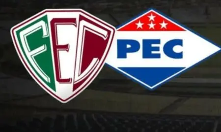Flu x PEC