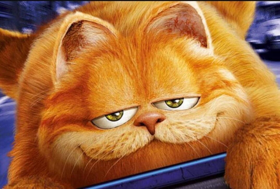 Garfield