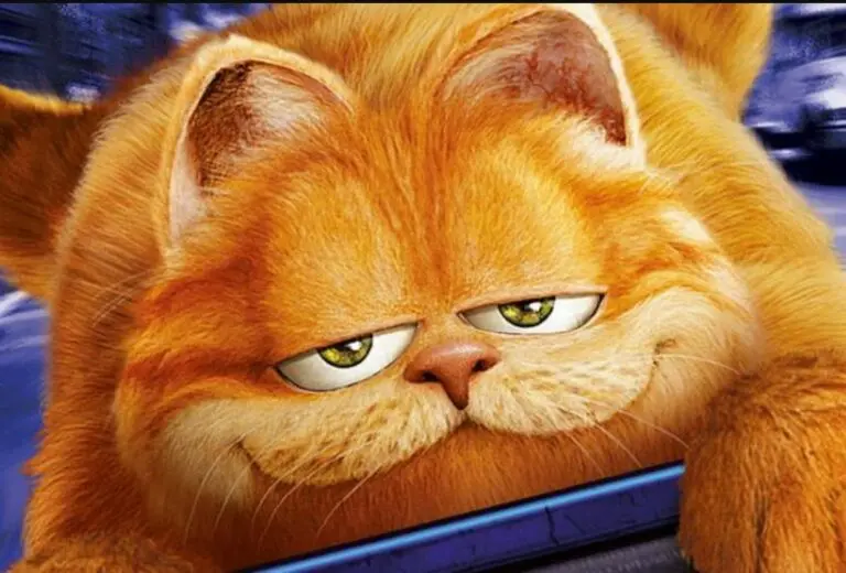 Garfield
