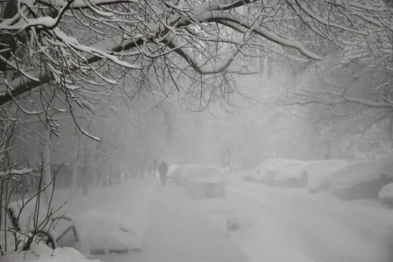 snow