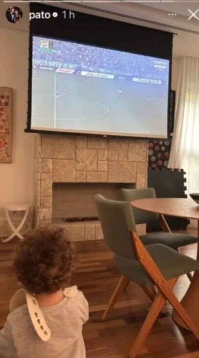 Pato - story instagram