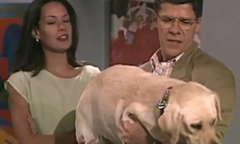 Paula e Carlos - Historia de Amor