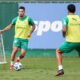 Paulinho em treino do Palmeiras