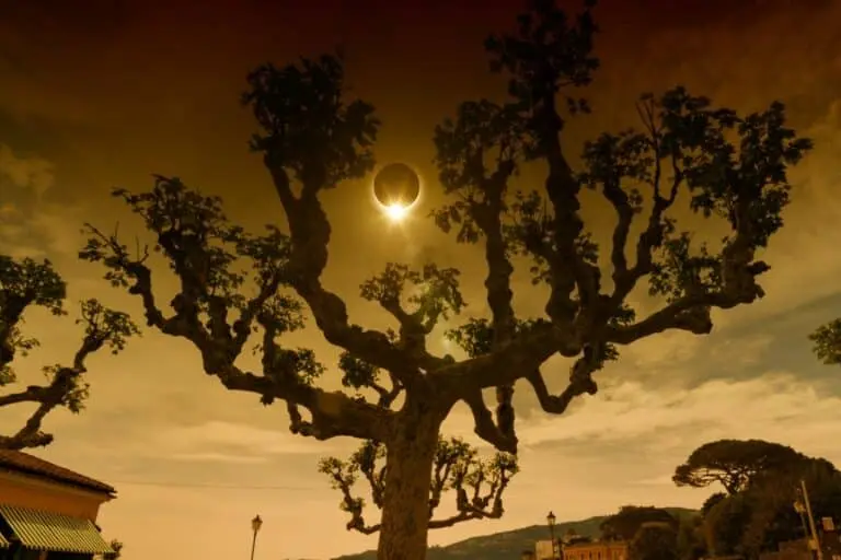 Solar Eclipse