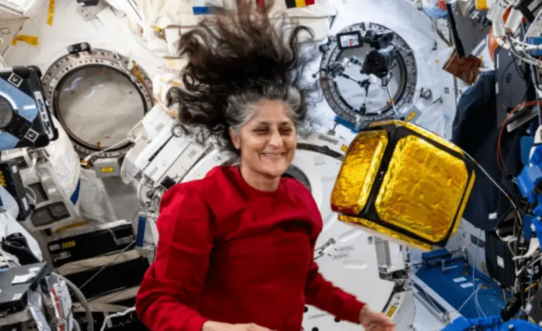 Sunita Williams