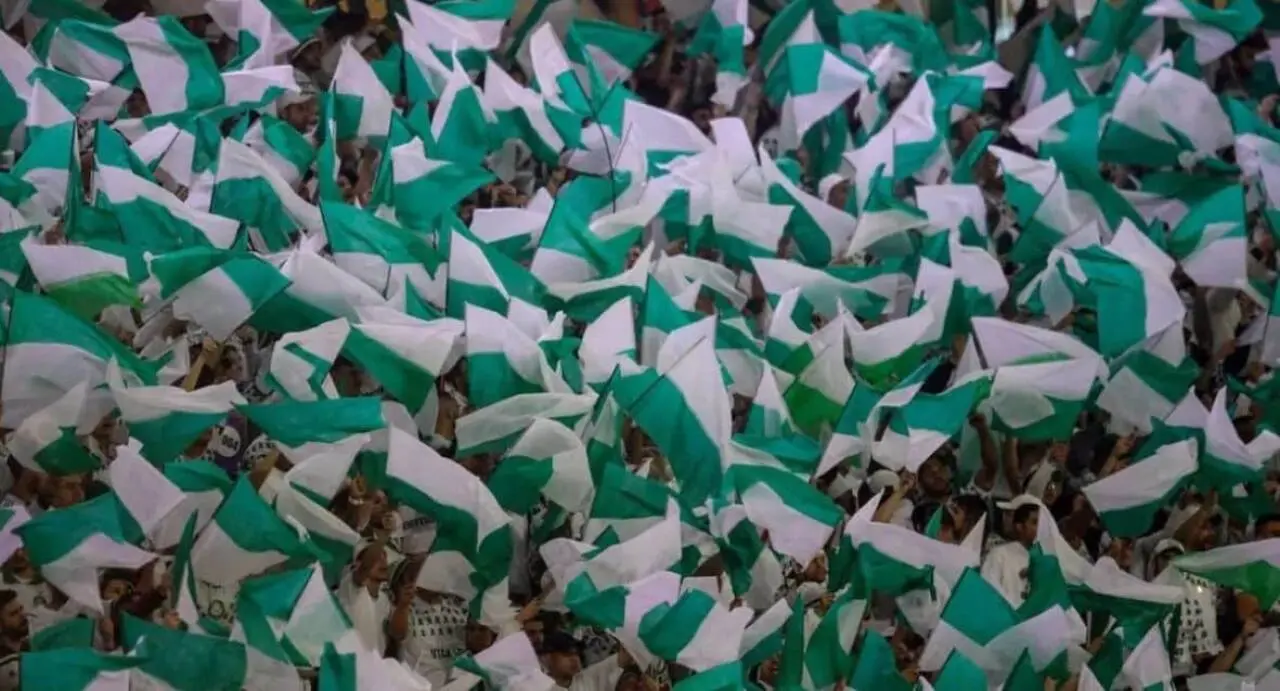 Torcida do Palmeiras