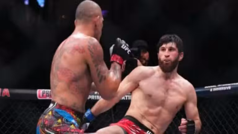 UFC 313