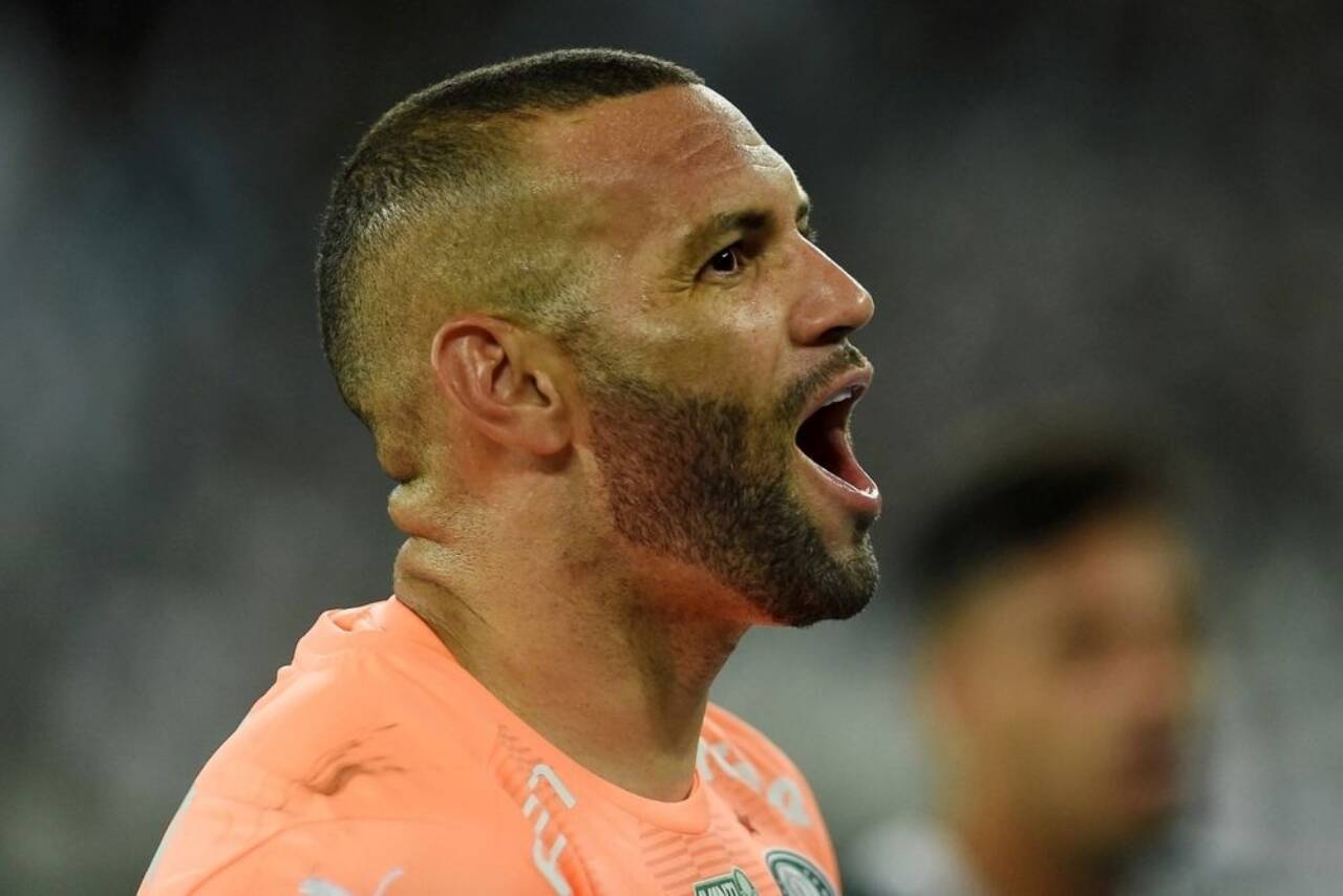 Weverton Palmeiras