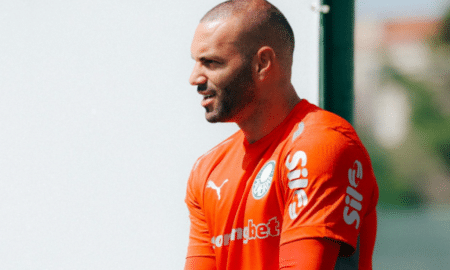 Weverton goleiro Palmeiras