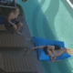 casal em piscina de hotel em Bangkok