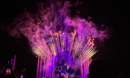 Fogos Disney Paris - Foto Mix Vale