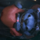 Lilo e Stitch