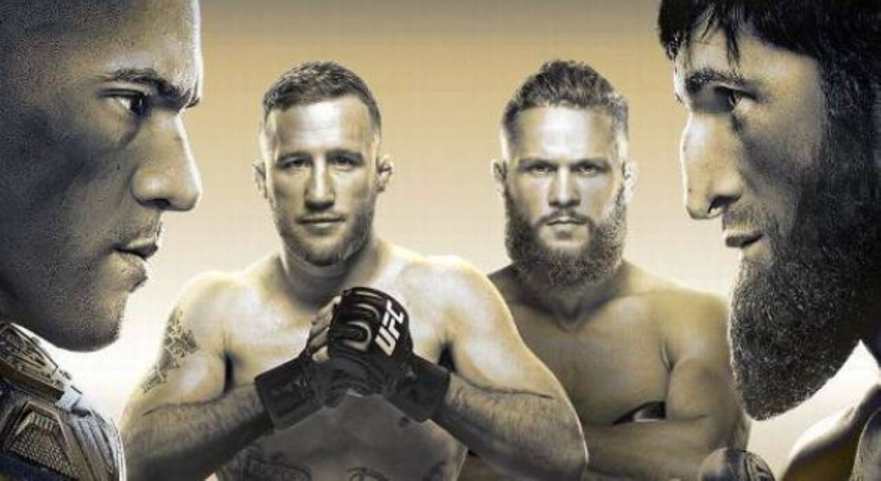 Where to watch UFC 313 live with Alex Poatan vs Magomed Ankalaev this Saturday