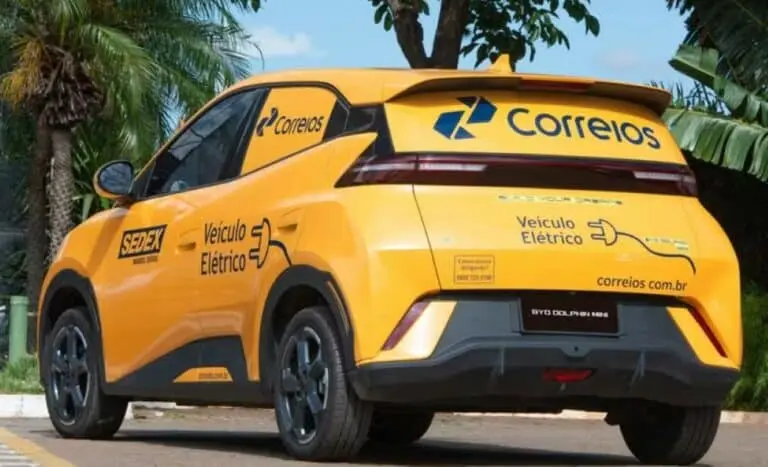 BYD Dolphin Mini Cargo