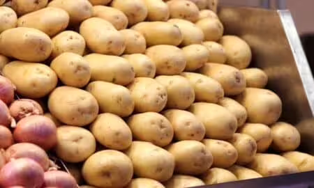 Batata, feira