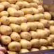 Batata, feira