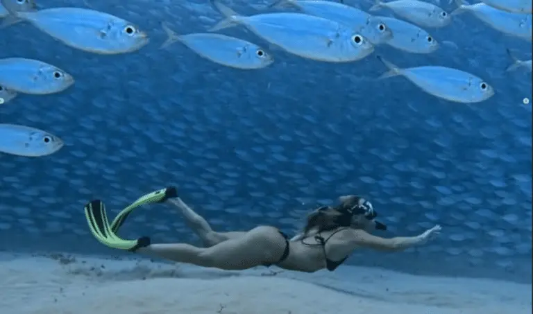 Bruna Griphao em mergulho